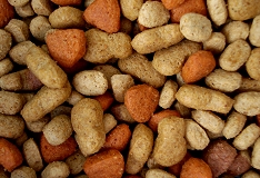 080103-DriedCatFood_thumb.jpg