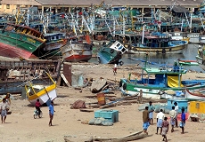 080115-boats_thumb.jpg