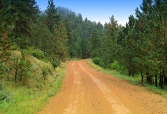 Country Road – Friday’s Daily Jigsaw Puzzle