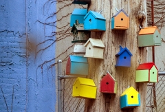 Birdhouses – Thursday’s Jigsaw Puzzle