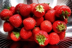 Strawberries – Tuesday’s Daily Jigsaw Puzzle