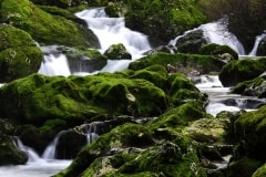 Waterfalls – Tuesday’s Daily Jigsaw Puzzle