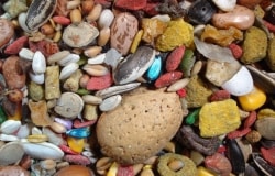 Bird Seed – Monday’s Chirping Jigsaw Puzzle