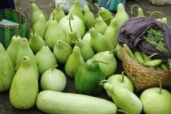 Fresh Gourds – Tuesday’s Daily Jigsaw Puzzle