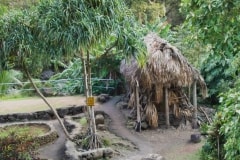 Hut In Hawaii – Friday’s Vacation Jigsaw Puzzle