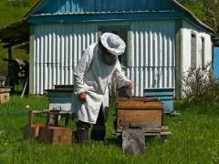Wednesday’s Honey Of A Jigsaw Puzzle – The Beekeeper
