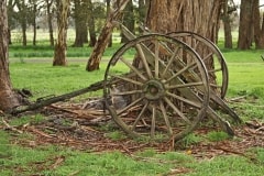 Old Horse Drawn Wagon – Thursday’s Daily Jigsaw Puzzle