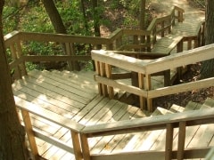 Forest Stairs – Wednesday’s Free Daily Jigsaw Puzzle