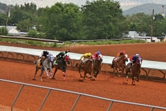 Thundering Hooves – Tuesday’s Racing Jigsaw Puzzle