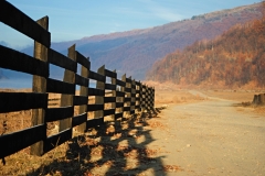 A Walk Along The Old Country Fence