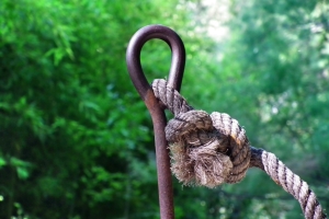 Rope on a Hook – Sunday’s Jigsaw Puzzle