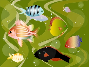 Wednesday’ Fishy Jigsaw Puzzle – Fish!