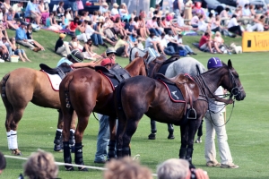 Polo Match – Saturday’s Horsing Around Jigsaw Puzzle