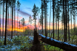 Sunset – Tuesday’s Early Evening Jigsaw Puzzle