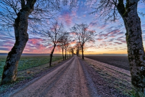 Dirt Road Sunrise – Friday’s Daily Jigsaw Puzzle
