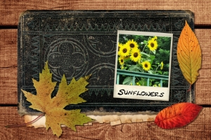 Old Notebook With Photograph – Wednesday’s Daily Jigsaw Puzzle