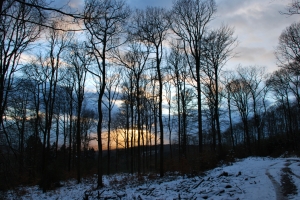 Winter Evening – Monday’s Cold Weather Jigsaw Puzzle
