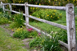 Weathered Old Fence – Saturday’s Daily Jigsaw Puzzle