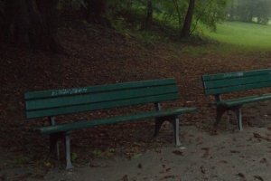 Lonely Park Benches – Friday’s Late Late Jigsaw Puzzle