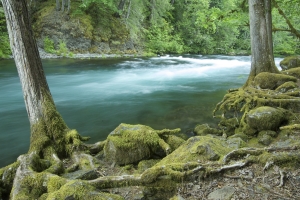 The River Blue – Monday’s Free Daily Jigsaw Puzzle