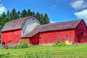 Born In a Barn – Saturday’s Free Daily Jigsaw Puzzle