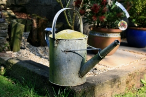 Friday’s Pre-Weekend Daily Jigsaw Puzzle – Watering Can