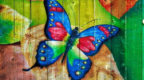 Butterfly Painted Boards – Monday’s Daily Jigsaw Puzzle