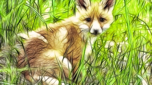 The Fox – Saturday’s Artistic Jigsaw Puzzle