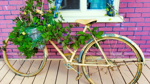 Bicycle Planter – Monday’s Daily Jigsaw Puzzle