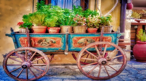 Cart Full Of Plants – Friday’s Free Daily Jigsaw Puzzle