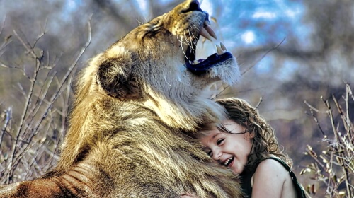 A Girl And A Lion – Monday’s Happy Jigsaw Puzzle