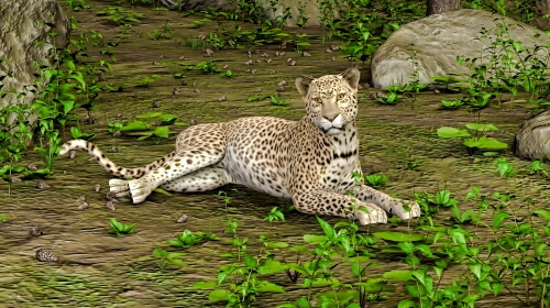 Cheetah – Friday’s Daily Jigsaw Puzzle