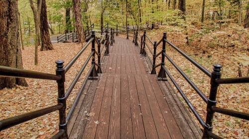 The Long Walkway – Thursday’s Daily Jigsaw Puzzle