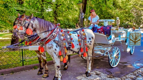 Carriage Ride – Thursday’s Once Around The Park Jigsaw Puzzle