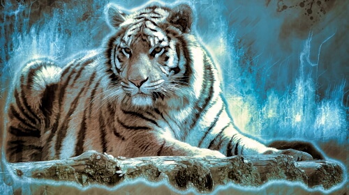 Bengal Tiger – Wednesday’s Daily Jigsaw Puzzle