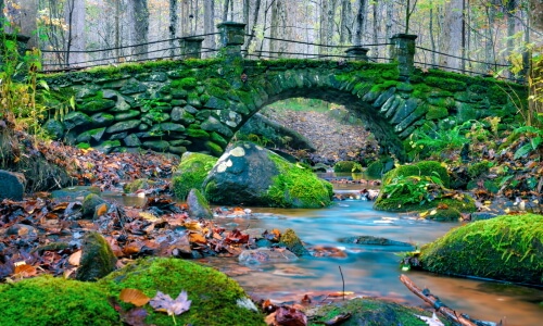 The Bridge – Sunday’s Daily Jigsaw Puzzle