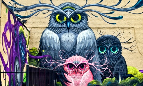 Owl Mural – Sunday’s Free Daily Jigsaw Puzzles