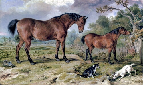 Horses and Dogs – A Painting By James Ward