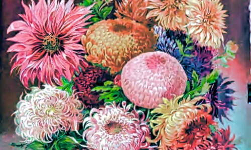 Hand Drawn Flower Catalog – Saturday’s Daily Jigsaw Puzzle