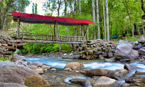 An Old Wooden Bridge In The Woods