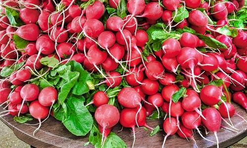 Red Red Radishes – Monday’s Daily Jigsaw Puzzle