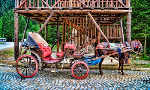 Horse And Carriage – Saturday’s Daily Jigsaw Puzzle