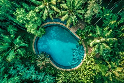 Beautiful Swimming Pool In The Woods