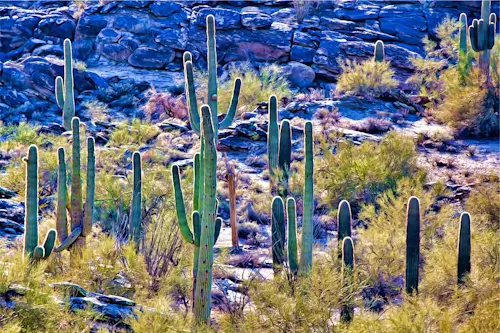 Cactus In A Desert Landscape